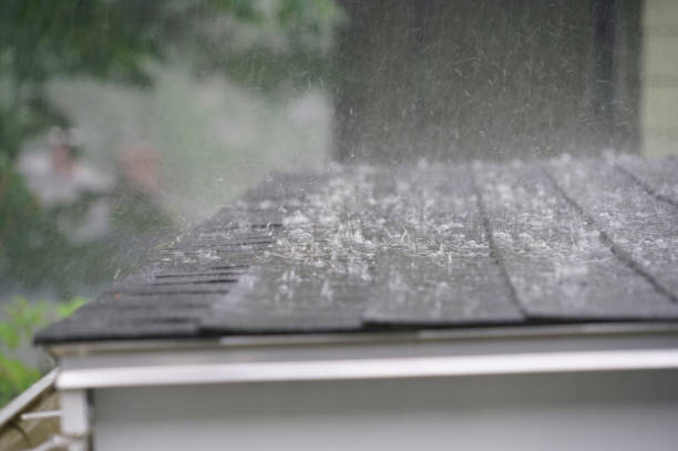 Best Roof Ventilation Installation  in Weyauwega, WI