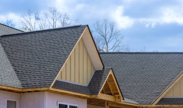 Best Solar Panel Roofing Installation  in Weyauwega, WI