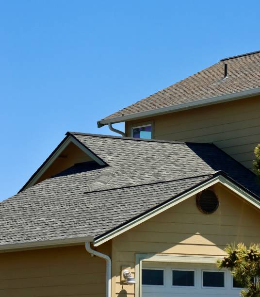 Best Roof Moss and Algae Removal  in Weyauwega, WI